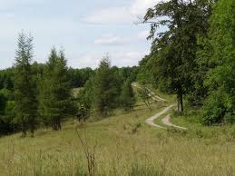 Der landkreis eichsfeld liegt im nordwesten des freistaats thüringen, eingebettet zwischen dem harz im norden, der werra und dem osthessischen bergland im südwesten und dem thüringer becken im südosten. Grunes Band Auf Der Gobert Mit Kolonnenweg Mapio Net