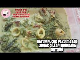 Akhir sekali, tuang santan pekat dan masukkan garam secukupnya. Recipe 4 Pucuk Paku Masak Lemak Cili Api Bersama Sotong Vegetable Nails Eng Sub Youtube