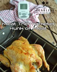 It should not touch bone, fat or gristle. How To Use A Meat Thermometer My Fearless Kitchen