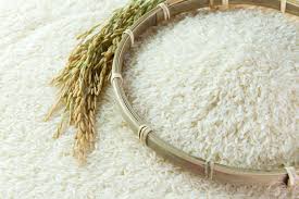 Rice Is The Main Food Crop Of India The Rice Export Mainly Contributes Approx 10 Of The Total Agricultural Export From India Parboiled Rice Rice Rice Bread