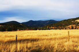 the rattlesnake missoula montana we spent a winter up the rattlesnake very cold and icy trip down to school missoula montana missoula montana pinterest