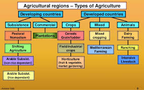 Chart Of Agricultural Regions Types Of Agriculture Types