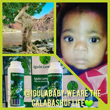 Igula Lempilo Herb House 073 405 0599