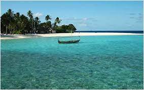 Ingin tahu apa saja rumah adat di pulau sulawesi? 8 Taman Nasional Di Pulau Sulawesi