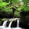 Where is the mullerthal trail 1