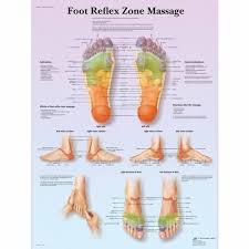 Anatomical Charts And Posters Anatomy Charts Foot Reflex Zone Massage Laminated Chart Foot Reflexology Reflexology Chart Massage Benefits