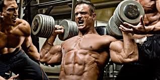 shock any muscle group into growth