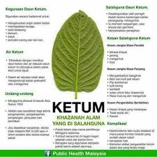 Cuci habis beb dlm body kita. Penawar Ketum Beitrage Facebook