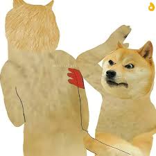 Search more hd transparent doge meme image on kindpng. All Doge And Cheems Meme Templates Collection 20 Total