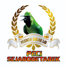 Sebab memang cucak ijo merupakan jenis burung kicauan yang tampilan badannya cukup indah dengan dilengkapi warna hijau sebagai warna dominan. Spesial 18 Logo Cucak Ijo