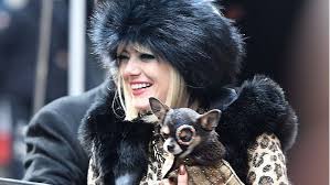 Эмма стоун, эмма томпсон, марк стронг и др. Disney S 2021 Cruella May Shatter The Underwhelming Live Action Trend