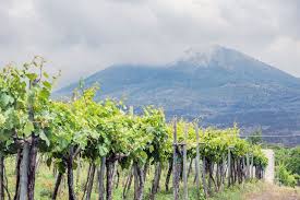 Building Blocks Naples Rare Earth Naples Drying Pasta Natural Landmarks