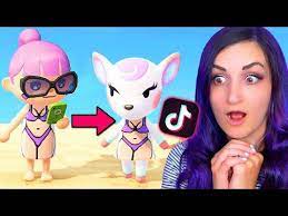 Testing Viral Animal Crossing Tiktok Life Hacks To See If They Actually Work 3 Youtube Animal Crossing Video Game Room Design Cute Funny Animals