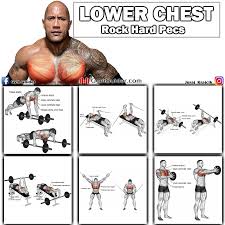 high quality chest workout chart step by step 2019