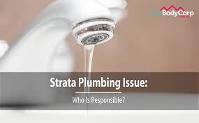 When ready, pour the lot steadily into toilet. Strata Plumbing Issue Who Is Responsible Strata Property Maintenance