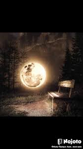 Moonlight is a smooth love… read more. New Azamgarh Temperature 1300 Status Photo Video Nojoto
