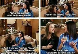 From her days at chilton to yale (and beyond, with netflix's. Love Me Some Gilmore Girls Oy With Tge Poodles Already Glimore Girls Gilmore Girls Quotes Girlmore Girls