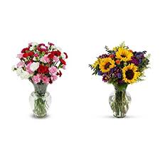 Skip to main search results. Buy Benchmark Bouquets 20 Stem Rainbow Mini Carnations With Vase Fresh Cut Flowers Flowering Fields With Vase Fresh Cut Flowers Online In Indonesia B00lo83p8q