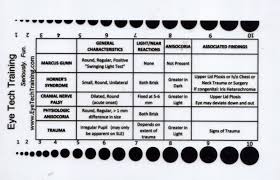 75 all inclusive pupil gauge chart printable