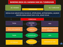 We did not find results for: Ppt Struktur Dan Fungsi Sel Powerpoint Presentation Free Download Id 3810917