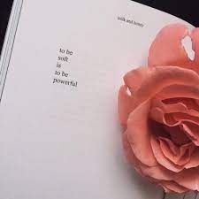 Imagem De Rose Soft And Flowers Honey Quotes Milk And Honey Quotes Words