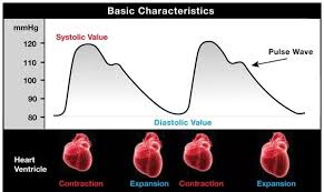 According to a large 2017 study , normal stroke volume ranges are: What Is Meant By Systolic And Diastolic Blood Pressure Quora