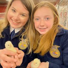 Heritage FFA Officers and Members had the privilege to work a very eventful  but also a exciting day here at the Fort Worth Livestock Show and Rodeo at  the Barn Day display.