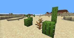 Limit my search to r/minecraft. Top 5 Uses Of Cactus In Minecraft