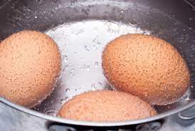 Eggs And Salmonella Does Cooking Eggs Kill Salmonella