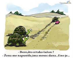 Kineski brojevi su znakovi za pisanje broja u kineskom jeziku.danas, govornici kineskog koriste tri numeričkih sistema: Matematika Ko Kineska Slova Photos Facebook