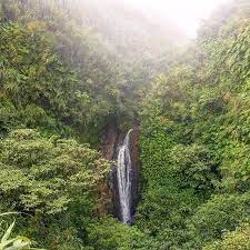 seven star waterfall qixing waterfall in yangmingshan national park right off the roadside near xiaoyoukeng 七星瀑布 小油坑 陽明山國家公園 country roads road outdoor