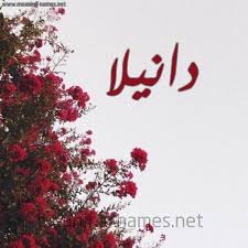 صفات حامل إسم دانيلا و معنى اسم دانيلا قاموس الأسماء و المعاني