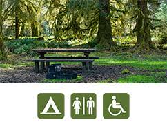All campgrounds in the forest are on a 41 tent/rv sites are spaced among the trees with several along the waterfront. Camping Olympic National Park U S National Park Service
