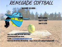 Organization with a focus on...