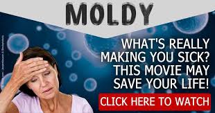 Toxic Mold Hazards And Related Illnesses Revealed Health Info Health Facts Health Articles