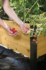 Jun 03, 2021 · with a large enough planter box, you can grow zucchini squash next to a 'better bush' tomato. Elevated Raised Bed Gardening The Easiest Way To Grow