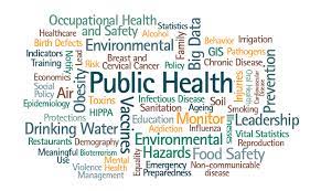 Health and wellness managers generally enter the profession with a minimum of a bachelor's degree. Public Health Salary In Nigeria 2021 Is It Worth It