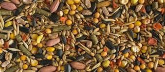 Per cani e gatti a lanciano c'è program che produce e vende alimenti per animali e giochi di vario tipo. In Crescita La Produzione Europea Di Mangimi Per Animali Unaitalia