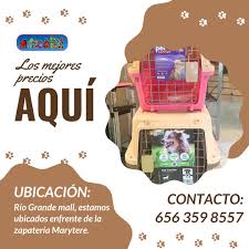 Mascota 3