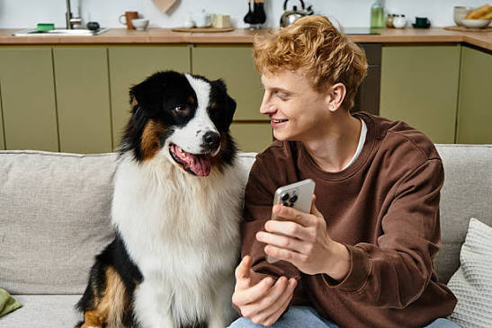 8,800+ Dog Iphone Stock Photos and Royalty-Free Pictures - iStock