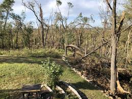 We provide compassionate transitional health care to iowans at all walks of life, and we also care for the family's wellbeing. August S Devastating Derecho Has A Silver Lining Iowa Natural Heritage Foundation