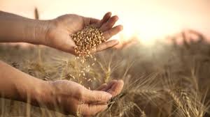 Food refers to any consumable items that, when eaten, restore hunger points and hunger saturation points, and sometimes cause status effects. Forbes Khá»§ng Hoáº£ng LÆ°Æ¡ng Thá»±c Trung Quá»'c Ntd Viá»‡t Nam Tan Ä'Æ°á»ng Nhan