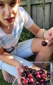 NZIFST CONFERENCE 2023 PREVIEW & HANDBOOK