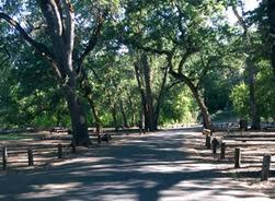 Hours may change under current circumstances Camping