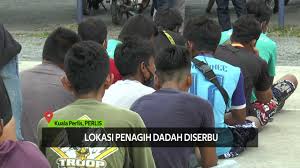 Terjemahan dari pil kuda di bahasa inggris. Kesan Pil Kuda Pada Manusia Dadah Ini Juga Boleh Menyebabkan Halusinasi Dan Gila