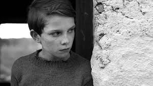 Waking the filmmakers: diversity and dynamism in Irish film today