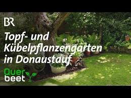 Topf Und Kubelpflanzengarten In Donaustauf Youtube Pflanzen Donaustauf Garten