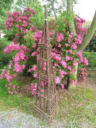 Treillages Tuteurs Structure Pour Plantes Grimpantes Avec Images Plante Grimpante Treillage Tuteur Rosier Grimpant