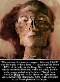 Mummy of Sitre-in, wet nurse to Pharaoh Hatshepsut, discovered in Egypt