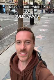 Ntv Newfoundland Ross Tilley